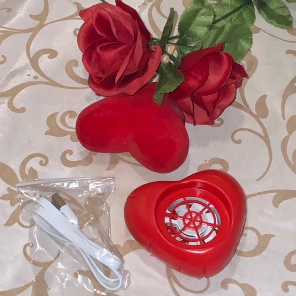 Scentsy Saint Valentin ❤️mini fan diffuser